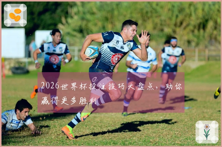 2026世界杯投注技巧大盘点，助你赢得更多胜利