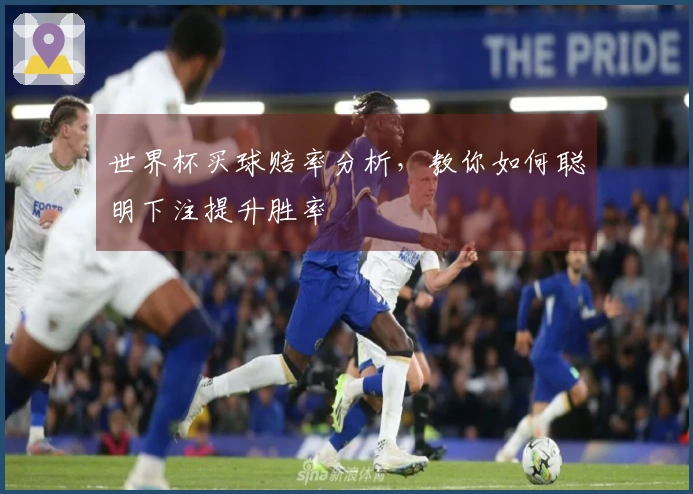 世界杯买球赔率分析，教你如何聪明下注提升胜率
