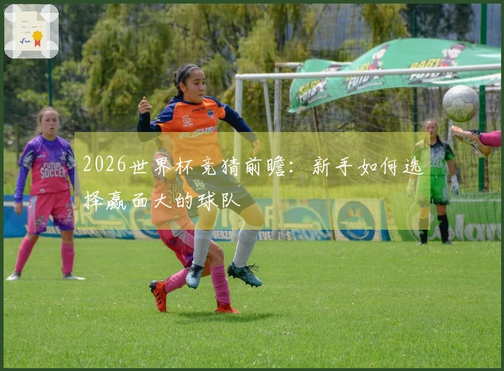 2026世界杯竞猜前瞻：新手如何选择赢面大的球队