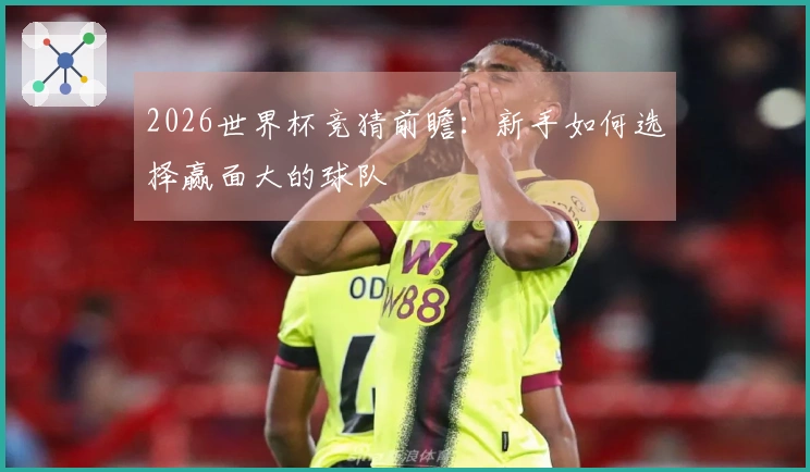 2026世界杯竞猜前瞻：新手如何选择赢面大的球队