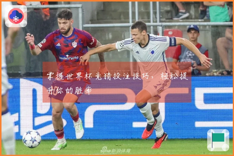 掌握世界杯竞猜投注技巧，轻松提升你的胜率