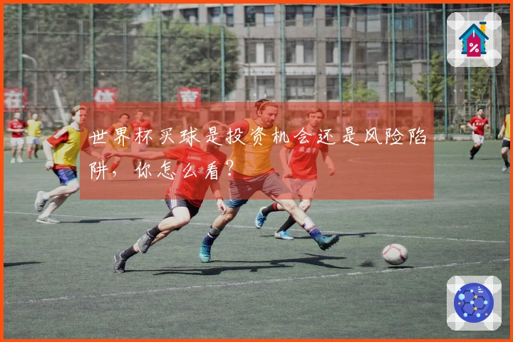 世界杯买球是投资机会还是风险陷阱，你怎么看？