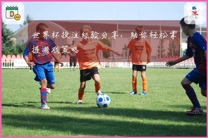 世界杯投注经验分享，助你轻松掌握游戏策略