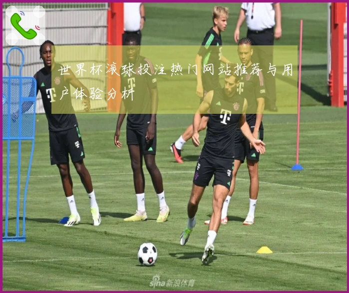 世界杯滚球投注热门网站推荐与用户体验分析