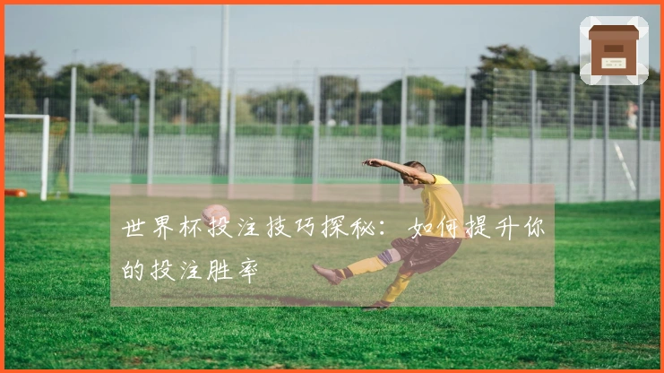 世界杯投注技巧探秘：如何提升你的投注胜率