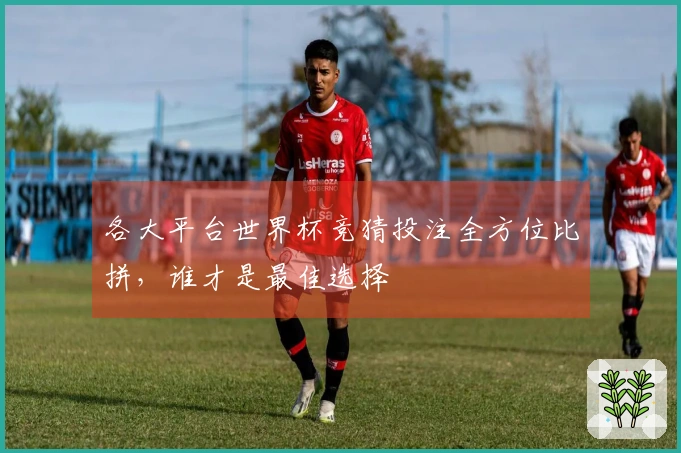 各大平台世界杯竞猜投注全方位比拼，谁才是最佳选择