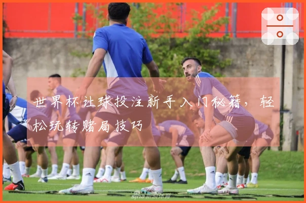 世界杯让球投注新手入门秘籍，轻松玩转赌局技巧