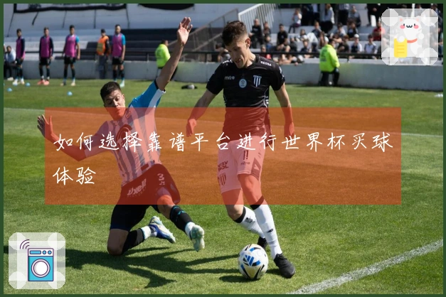 如何选择靠谱平台进行世界杯买球体验