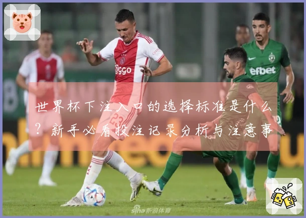 世界杯下注入口的选择标准是什么？新手必看投注记录分析与注意事项