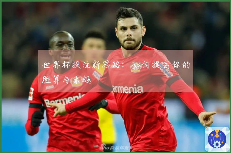 世界杯投注新思路：如何提高你的胜算与乐趣