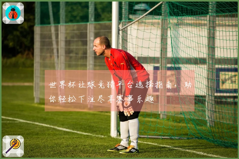 世界杯让球竞猜平台选择指南，助你轻松下注尽享赛事乐趣