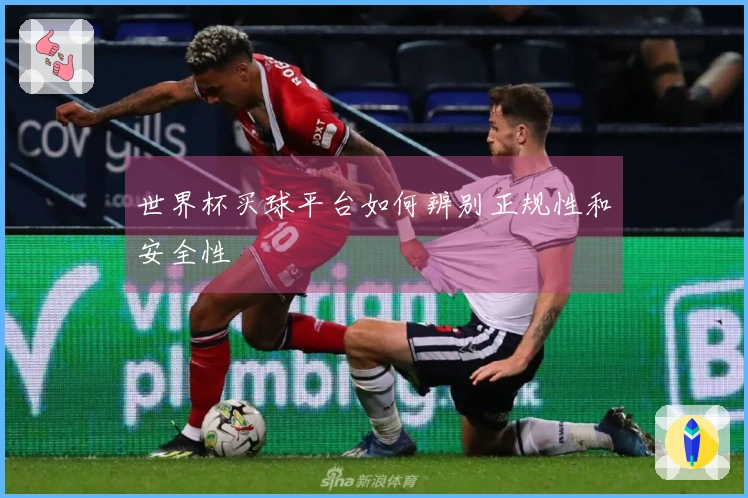 世界杯买球平台如何辨别正规性和安全性