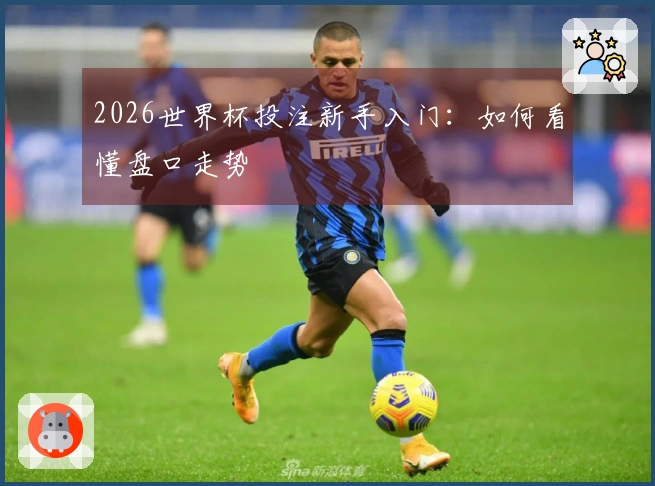 2026世界杯投注新手入门：如何看懂盘口走势