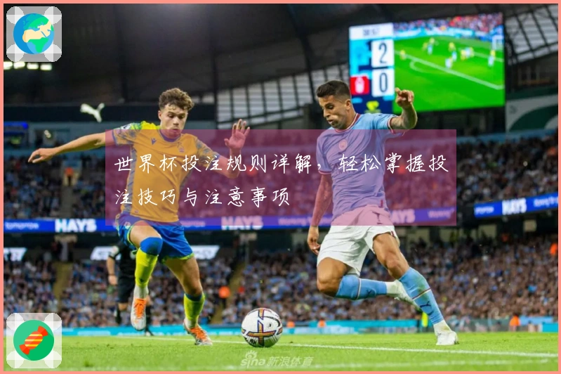 世界杯投注规则详解，轻松掌握投注技巧与注意事项