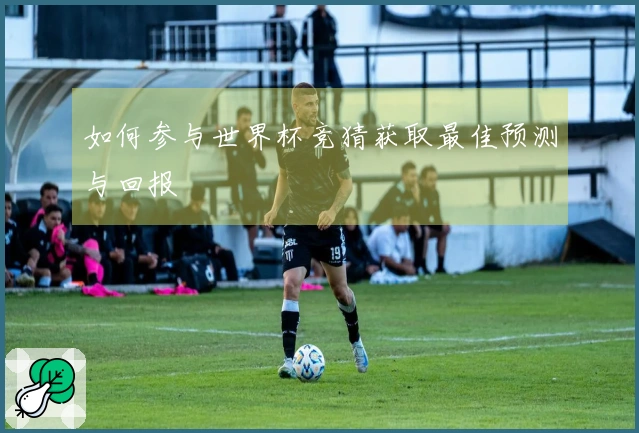 如何参与世界杯竞猜获取最佳预测与回报