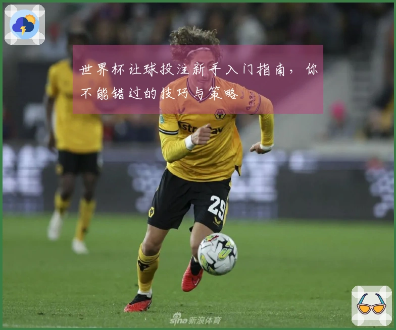 世界杯让球投注新手入门指南，你不能错过的技巧与策略