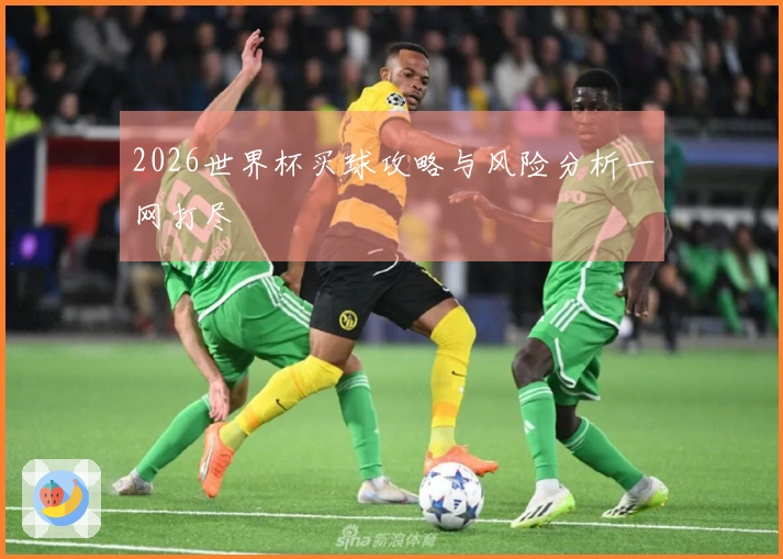 2026世界杯买球攻略与风险分析一网打尽