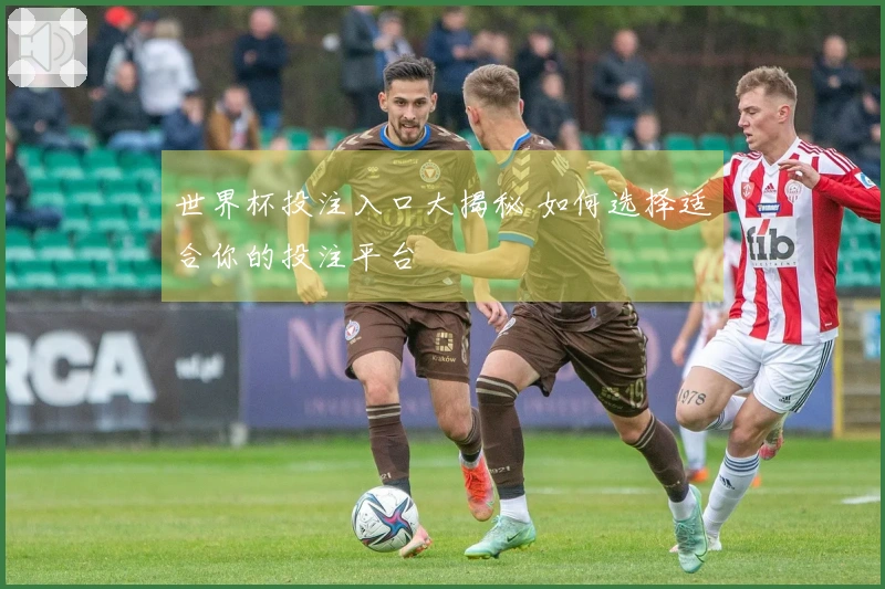 世界杯投注入口大揭秘 如何选择适合你的投注平台
