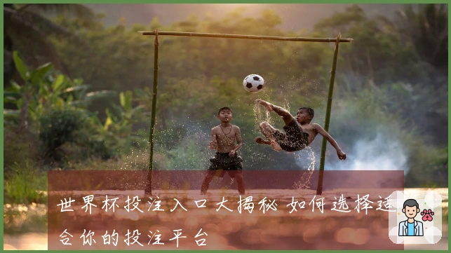 世界杯投注入口大揭秘 如何选择适合你的投注平台