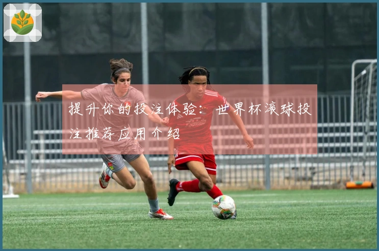 提升你的投注体验：世界杯滚球投注推荐应用介绍
