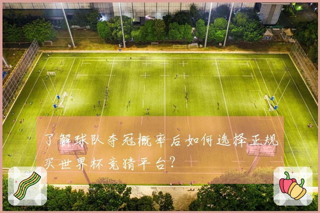 了解球队夺冠概率后如何选择正规买世界杯竞猜平台？