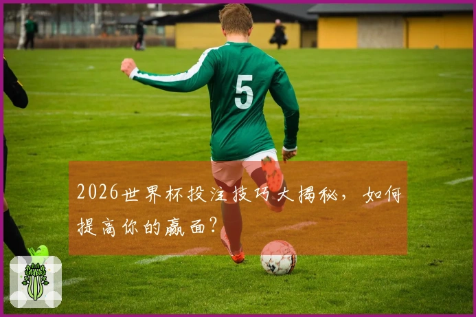 2026世界杯投注技巧大揭秘，如何提高你的赢面？
